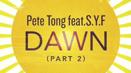 Pete Tong ft. S. Y. F. - Dawn ( Hot Since 82 Dub ) [high quality]