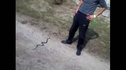 Video-0001