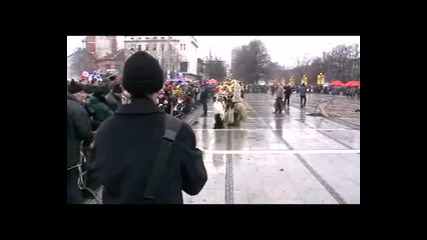 Kukeri Varvara, Pernik - 2010, Stoil