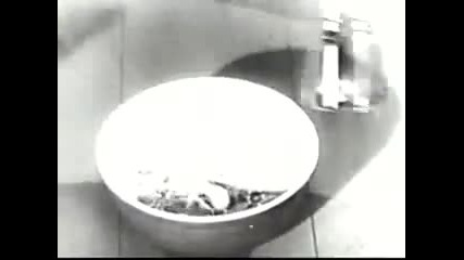 The Jello Instant Pudding Song 