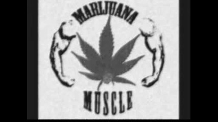 Respect.wmv