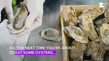 Here’s why you should always check where your oysters are from...