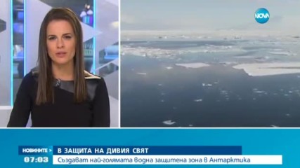 Създават най-голямата водна защитена зона в Антарктика