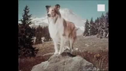 Lassie / Ласи - Интро 