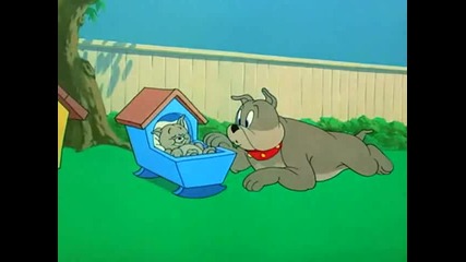 Tom And Jerry - Hic Cup Pup Hd(1954)