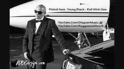 Pitbull Feat. Young Black - Roll With Gee New Hot Song 2010