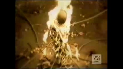 Celine Dion - Pour que tu maimes encore 