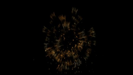 Flash 
