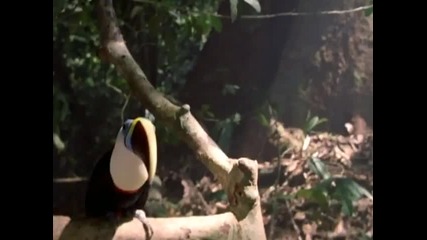Michael Jackson - Earth Song 
