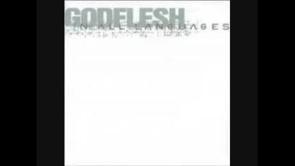 Godflesh - Us And Them (remix)