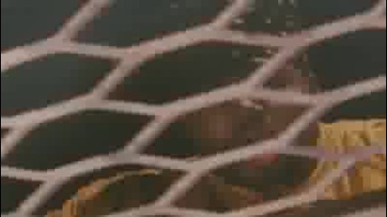 Snap - Oooopss Up