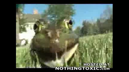 Жаба Издава Звуци , Като Котка - Много Смях