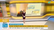 Колко деца се раждат у нас през последните години и колко големи са домакинствата, в които живеем?