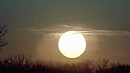 Sade - Morning Bird