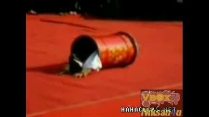 Най - Пластичното Дете !