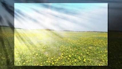 Song For Anna- Paul Mauriat