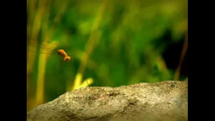minuscule - 14th part