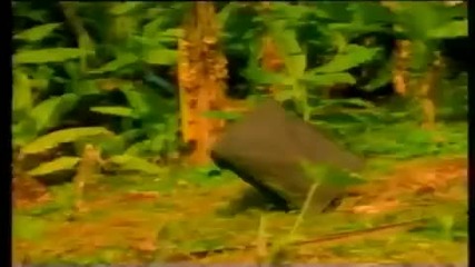 The Prodigy - Voodoo People