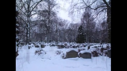 Amor e Morte - The Prophecy of the Apocalypse