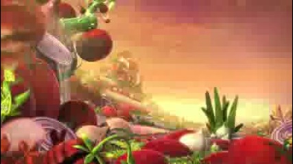 salsa 
