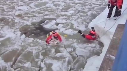 Брегова охрана спасява куче от ледени води