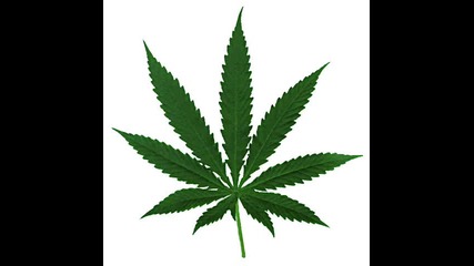 Cyrepss Hill - Hits From The Bong