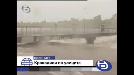 Бтв Новините - Крокодили Плъзнаха Из Куинсланд