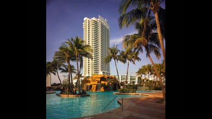 Stereo palma - Miami beach