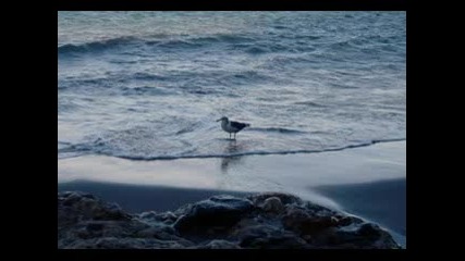 And I Love You So - Alexander Zailer