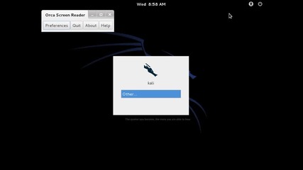 Kali Linux Accessibility Installation Options