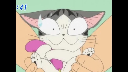 chi's sweet home 054 (bg)