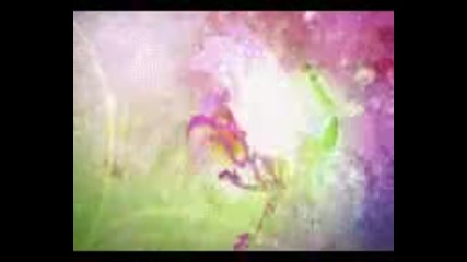 Winx-wanna say