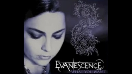 Evanescence - What You Want (превод)