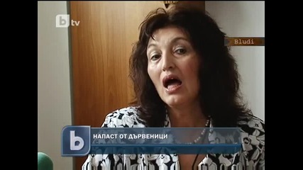 Напаст от дървеници в Студентски Град в София