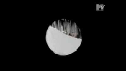 Mambo Nr 5 