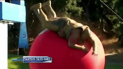 Wipeout Top 10