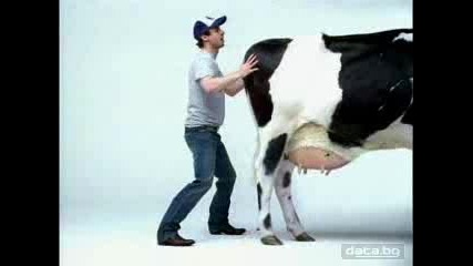 Shake