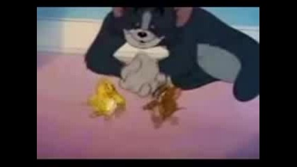 tom & jerry