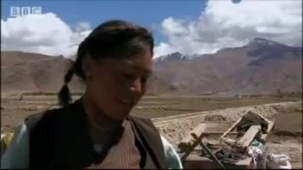 Marriage and work in Tibet - A Year in Tibet - Bbc Travel & News 