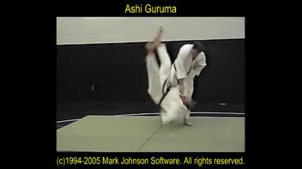 Ashi Guruma