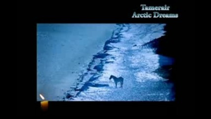 Tamerair - Arctic Dreams