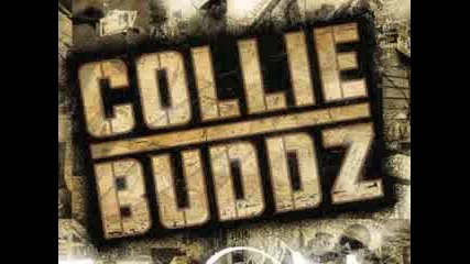 Collie Buddz - Blind To You Haterz