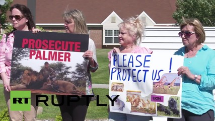 USA: Killer of Cecil the lion gets angry work-call from protesters
