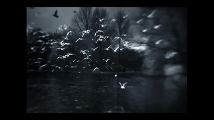 Our Broken Garden - The Departure 