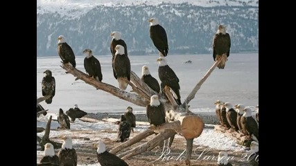 El Condor Pasa - George Zamfir