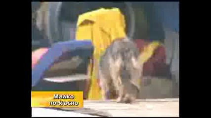 Big Brother 4 - Константин Отнесе Наказание