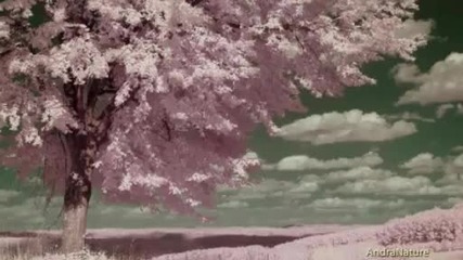 Spring Dreams-raul Di Blasio