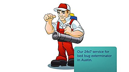 Certified Ocp Bed Bug Exterminator In Austin, Tx