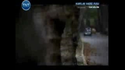 Kurtlar Vadisi Pusu 135 Bolum