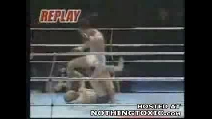 Brutal Stomp Knockout